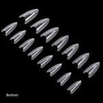 Sandwich Dual Forms Almond