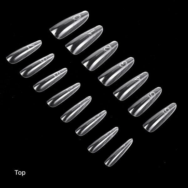 Sandwich Dual Forms Almond