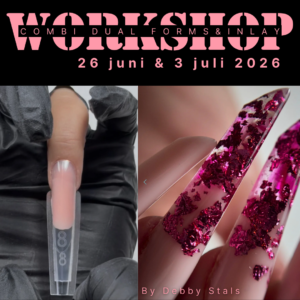 Combi Workshop Sandwich Dual Forms & INLAY by Debby Stals